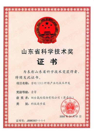 2008年，“芳纶1313纤维产业化技术开发”项目获山东省科学技术一等奖。