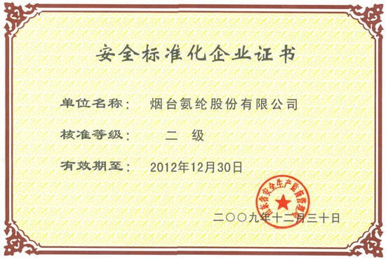 2009年，通过山东省安监局安全标准化二级审核。